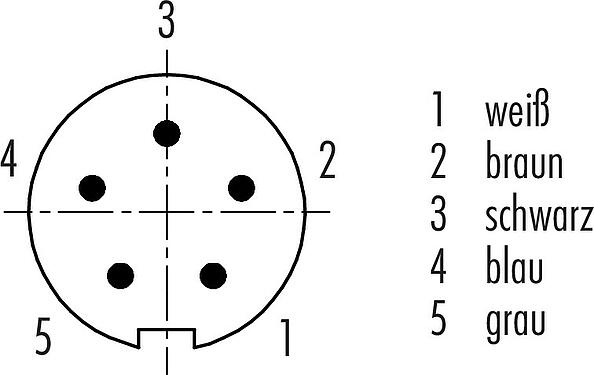 Polbild (Steckseite) M9 Kabelstecker, Polzahl: 5, geschirmt, am Kabel angespritzt, IP67, PUR, schwarz, 5 x 0,25 mm², 2 m