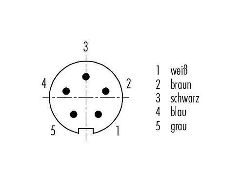 Polbild (Steckseite) M9 Kabelstecker, Polzahl: 5, geschirmt, am Kabel angespritzt, IP67, PUR, schwarz, 5 x 0,25 mm², 5 m