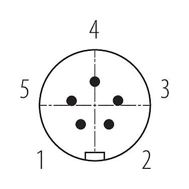 Koskettimien järjestys (plug in -puoli) Snap-In Kaapelipistoke, Napojen määrä: 5, 2,5-4,0 mm, suojaamaton, juotos, IP67