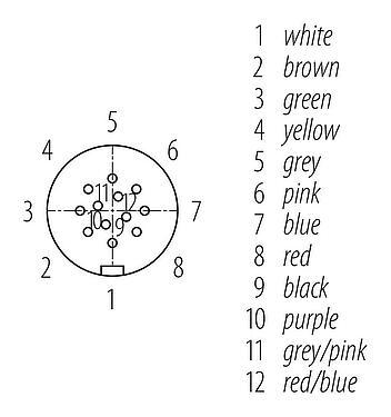 联系安排 (外掛程式側) Snap-in 快插 直头孔头电缆连接器, 极数: 12, 非屏蔽, 预铸电缆, IP67, UL 2238, PUR, 黑色, 12x0.25mm², 2m