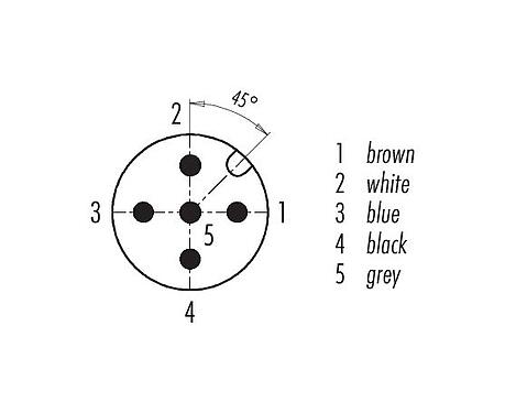 Disposition des contacts (Côté plug-in) 77 3427 0000 50005-0500 - M12 Connecteur mâle coudé, Contacts: 5, non blindé, surmoulé sur le câble, IP69K, UL, PUR, noir, 5 x 0,34 mm², 5 m