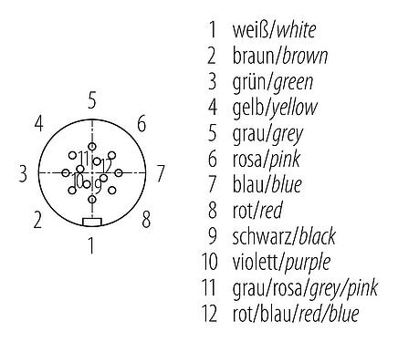 Uspořádání kontaktů (strana zástrčky) Snap-In Úhlový box, : 12, 6,0-8,0 mm, nestíněný, pájka, IP67