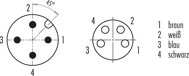 Polbild (Steckseite) M12/M8 Kabelstecker - Kabeldose, Polzahl: 4, ungeschirmt, am Kabel angespritzt, IP67/IP69K, UL 2238, PUR, schwarz, 4 x 0,34 mm², 2 m