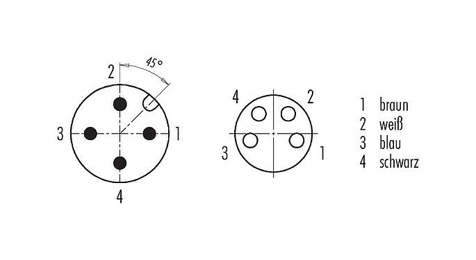 Polbild (Steckseite) M12/M8 Kabelstecker - Kabeldose, Polzahl: 4, ungeschirmt, am Kabel angespritzt, IP67/IP69K, UL 2238, PUR, schwarz, 4 x 0,34 mm², 2 m