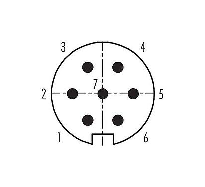 Disposition des contacts (Côté plug-in) Push Pull Connecteur mâle, Contacts: 7, 4,0-8,0 mm, blindable, souder, IP67
