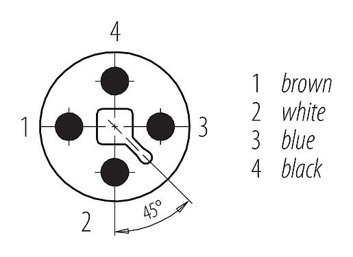 Disposition des contacts (Côté plug-in) M12 Connecteur mâle, Contacts: 4, non blindé, surmoulé sur le câble, IP68, UL 2238, PUR, noir, 4 x 1,50 mm², 5 m