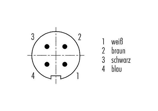 Polbild (Steckseite) M9 Kabelstecker, Polzahl: 4, geschirmt, am Kabel angespritzt, IP67, PUR, schwarz, 5 x 0,25 mm², 2 m