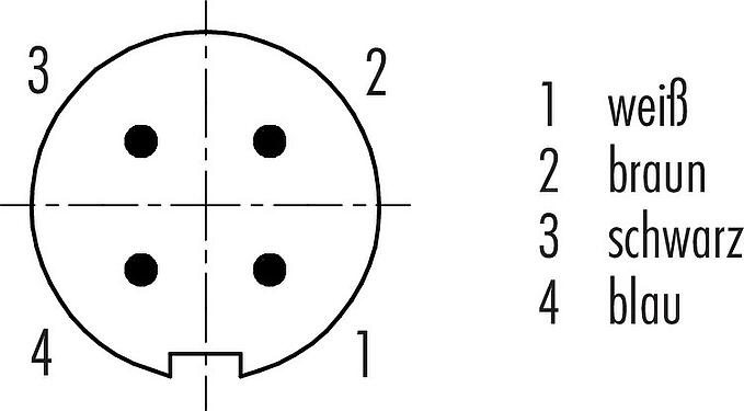 Polbild (Steckseite) M9 Kabelstecker, Polzahl: 4, geschirmt, am Kabel angespritzt, IP67, PUR, schwarz, 5 x 0,25 mm², 2 m