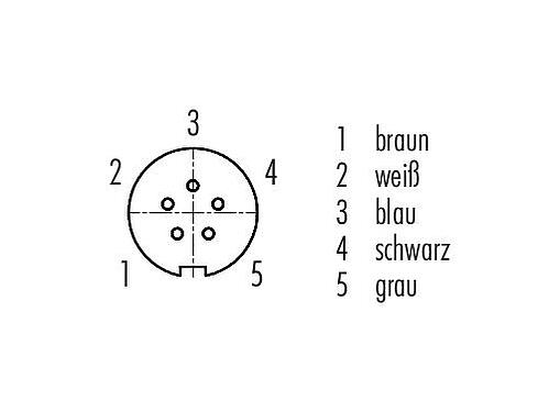 Polbild (Steckseite) Snap-In Kabeldose, Polzahl: 5, ungeschirmt, am Kabel angespritzt, IP67, UL 2238, PUR, schwarz, 5 x 0,25 mm², 2 m