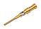 Accessoires--Contact à sertir_M12_Crimp_Stecker