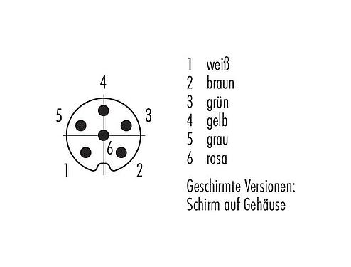 Polbild (Steckseite) M8 Kabelstecker, Polzahl: 6, geschirmt, am Kabel angespritzt, IP67, UL 2238, PUR, schwarz, 6 x 0,25 mm², 2 m