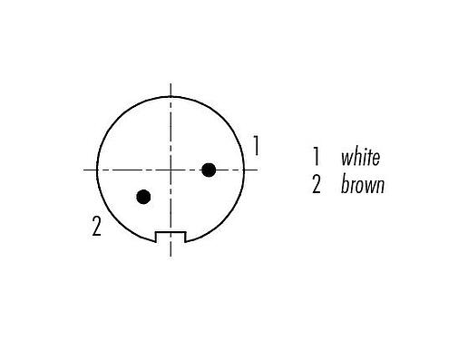 Contact arrangement (Plug-in side) M9 Male cable connector, Contacts: 2, shielded, moulded on the cable, IP67, PUR, black, 5 x 0.25 mm², 2 m