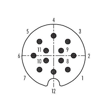 Disposition des contacts (Côté plug-in) M25 Embase mâle, Contacts: 12, blindable, souder, IP40, Montage frontal