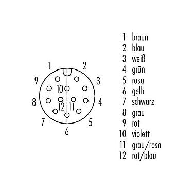 Polbild (Steckseite) M12 Vierkant-Flanschdose, Polzahl: 12, ungeschirmt, Litzen, IP40, UL 2238, M3 (4x), Frontmontage, vergossen