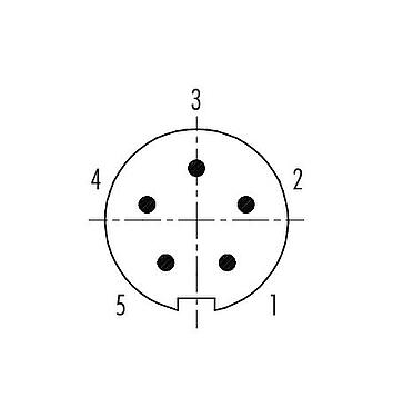 Contact arrangement (Plug-in side) Push Pull Male cable connector, Contacts: 5, 3.5-5.0 mm, shieldable, solder, IP67