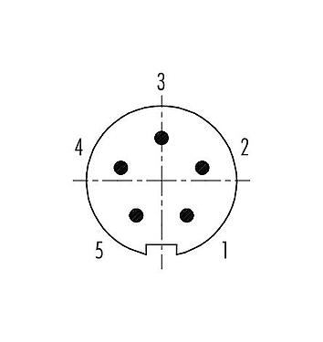 Polbild (Steckseite) 99 4913 00 05 - Push Pull Kabelstecker, Polzahl: 5, 3,5-5,0 mm, schirmbar, löten, IP67
