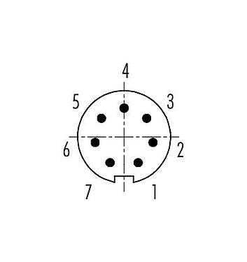 Disposition des contacts (Côté plug-in) 99 9475 102 07 - Baïonnette Connecteur mâle, Contacts: 7, 4,0-5,0 mm, non blindé, souder, IP40