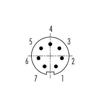Polbild (Steckseite) Bajonett Kabelstecker, Polzahl: 7, 3,0-4,0 mm, ungeschirmt, löten, IP40