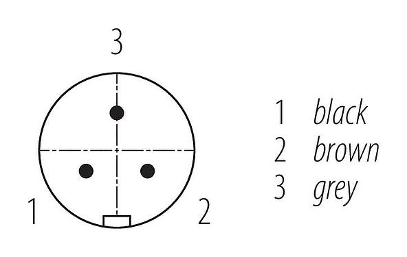 联系安排 (外掛程式側) Snap-in 快插 直头针头电缆连接器, 极数: 3, 非屏蔽, 预铸电缆, IP67, VDE, PUR, 黑色, 3x0.75mm², 2m