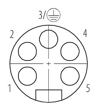 Расположение контактов (вставная сторона) 7/8" Кабельная розетка, Количество полюсов: 4+PE, 8,0-10,0 мм, не экранированный, винтовая клемма, IP67, UL 2238, VDE