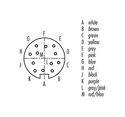 Disposizione dei contatti (lato connessione) M16 Connettore cavo femmina, Numero poli: 12 (12-a), non schermato, stampato sul cavo, IP67, PUR, nero, 12 x 0,25 mm², 2 m