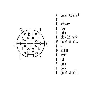 Polbild (Steckseite) M16 Kabeldose, Polzahl: 14 (14-b), ungeschirmt, am Kabel angespritzt, IP67, PUR, schwarz, 8 x 0,25 mm² / 2 x 0,50 mm², 2 m