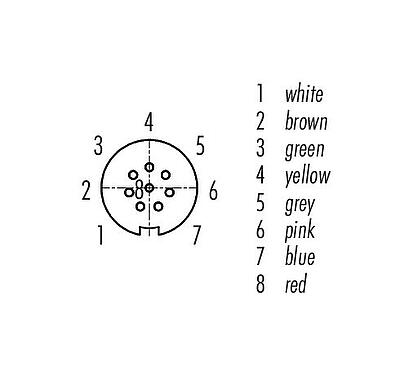 Contactconfiguratie (Insteekbereik) Snap-In Kabeldoos, aantal polen: 8, onafgeschermd, aan de kabel aangegoten, IP67, UL 2238, PUR, zwart, 8 x 0,25 mm², 2 m