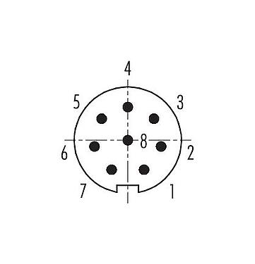 コンタクト配列（接続側） 99 0425 00 08 - M9 オスコネクタケーブル, 極数: 8, 3.5-5.0mm, 非シールド, はんだ, IP67