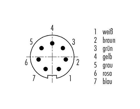 Polbild (Steckseite) M9 Kabelstecker, Polzahl: 7, geschirmt, am Kabel angespritzt, IP67, PUR, schwarz, 8 x 0,14 mm², 2 m