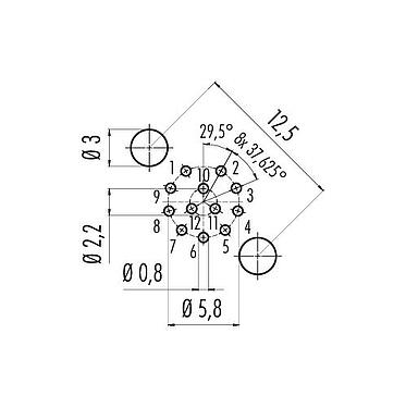 導體佈局 M12 孔頭法蘭座, : 12, 可接遮罩, THT, IP68, UL 2238, PG 9, 後壁安裝, 模压