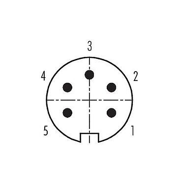 Disposition des contacts (Côté plug-in) 09 0113 70 05 - M16 Connecteur mâle, Contacts: 5 (05-a), 6,0-8,0 mm, non blindé, souder, IP67