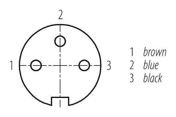 Disposition des contacts (Côté plug-in) M16 Connecteur femelle coudé, Contacts: 3, non blindé, surmoulé sur le câble, IP67, PUR, noir, 3 x 0,34 mm², 2 m