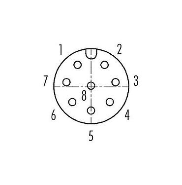 Polbild (Steckseite) M12 Schaltschrankdurchführung, Polzahl: 8, geschirmt, steckbar, IP67, UL 2238, M12x1,0, Rückwandmontage