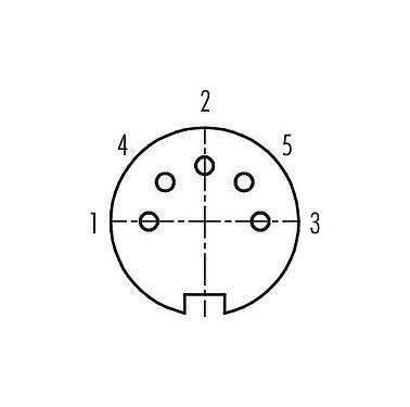 Disposizione dei contatti (lato connessione) M16 Connettore femmina a flangia, Numero poli: 5 (05-b), non schermato, THT, IP40, M18x0,75, Montaggio su panello posteriore