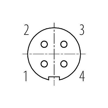Arranjo de contato (Lado do plug-in) M9 Soquete de flange, Contatos: 4, desprotegido, solda, IP40, M9x0,5, Montagem frontal