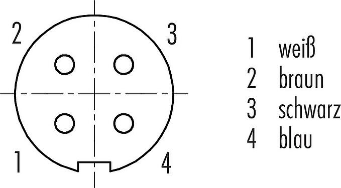 Polbild (Steckseite) M9 Kabeldose, Polzahl: 4, geschirmt, am Kabel angespritzt, IP67, PUR, schwarz, 5 x 0,25 mm², 2 m