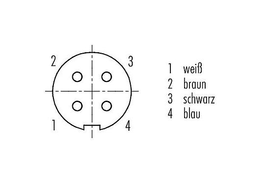 Polbild (Steckseite) M9 Kabeldose, Polzahl: 4, geschirmt, am Kabel angespritzt, IP67, PUR, schwarz, 5 x 0,25 mm², 2 m