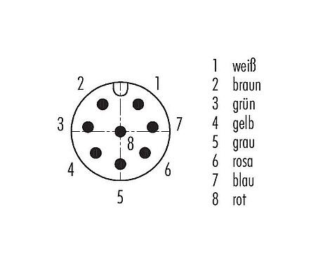 Polbild (Steckseite) M12 Vierkant-Flanschstecker, Polzahl: 8, ungeschirmt, Litzen, IP40, UL 2238, M3 (4x), Frontmontage, vergossen