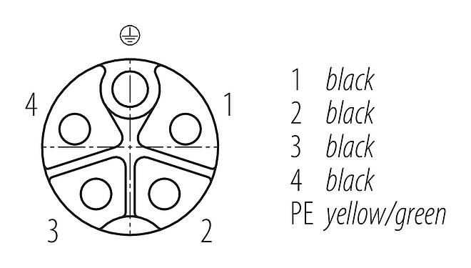 Расположение контактов (вставная сторона) M12 Кабельный штекер - кабельная розетка, Количество полюсов: 4+PE, не экранированный, формовка на кабеле, IP68, UL 2238, PUR, черный, 5 x 2,50 мм², UL в процессе подготовки, 2 м