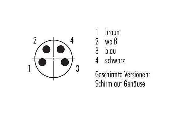 Polbild (Steckseite) M8 Kabelstecker, Polzahl: 4, geschirmt, am Kabel angespritzt, IP67, UL 2238, PUR, schwarz, 4 x 0,34 mm², 5 m