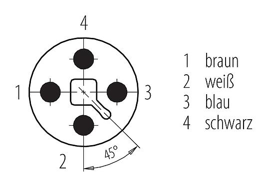 Polbild (Steckseite) M12 Kabelstecker, Polzahl: 4, ungeschirmt, am Kabel angespritzt, IP68, UL 2238, PUR, schwarz, 4 x 1,50 mm², 5 m