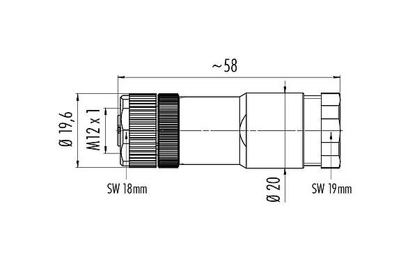 Maßzeichnung M12 Duo-Kabeldose, Polzahl: 4, 2.1-3.0 mm (2 Kabel) oder 4-5 mm (2 Kabel), ungeschirmt, schraubklemm, IP67, UL 2238