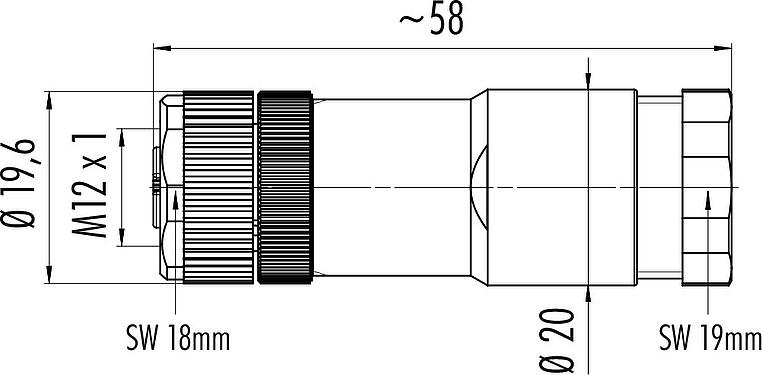 Disegno in scala M12 Connettore duo cavo femmina, Numero poli: 4, 2.1-3.0 mm (2 cavo) o 4-5 mm (2 cavo), non schermato, morsetto a vite, IP67, UL 2238
