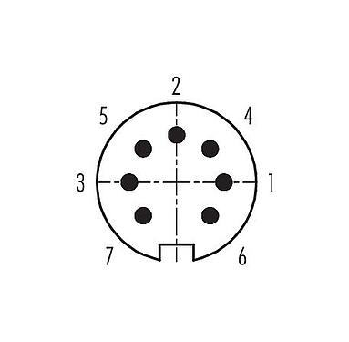 コンタクト配列（接続側） 99 0681 70 07 - バヨネット オスアングルコネクタ, 極数: 7, 4.0-6.0mm, 非シールド, はんだ, IP40