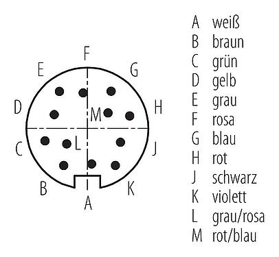 Polbild (Steckseite) M16 Kabelstecker, Polzahl: 12, ungeschirmt, am Kabel angespritzt, IP67, PUR, schwarz, 12 x 0,25 mm², 5 m
