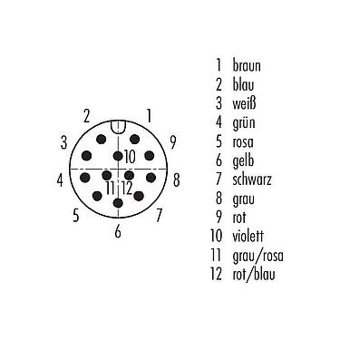 Polbild (Steckseite) M12 Vierkant-Flanschstecker, Polzahl: 12, ungeschirmt, Litzen, IP40, UL 2238, M3 (4x), Frontmontage, vergossen