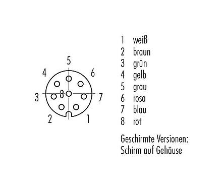 Polbild (Steckseite) M8 Kabeldose, Polzahl: 8, geschirmt, am Kabel angespritzt, IP67/IP69K, M8x1,0, PUR, schwarz, 8 x 0,25 mm², 5 m