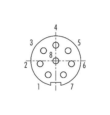 Contact arrangement (Plug-in side) Push Pull Female cable connector, Contacts: 8, 3.5-5.0 mm, shieldable, solder, IP67