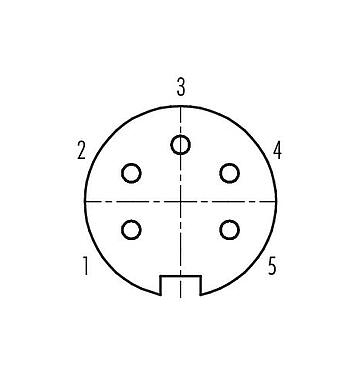 접점 배치(접속측) 99 4814 00 05 - 푸시풀 케이블 소켓, 콘택트 렌즈: 5, 4.0-8.0mm, 차폐 가능, 솔더, IP67