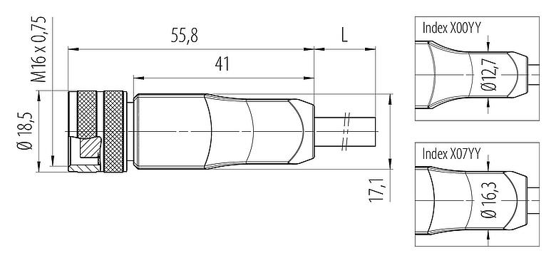 Scale drawing M16 Female cable connector, Contacts: 12, unshielded, moulded on the cable, IP67, PUR, black, 12 x 0.25 mm², 5 m